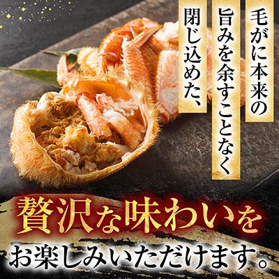 ふるさと納税 根室市 毛がに350g×2尾 A-54011 |  | 02