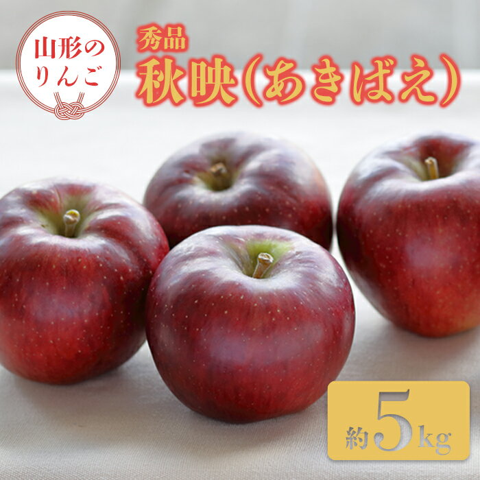 【ふるさと納税】【2025年9月発送分先行受付】「秀品」山形のりんご（秋映）約5kg_H162(R7)