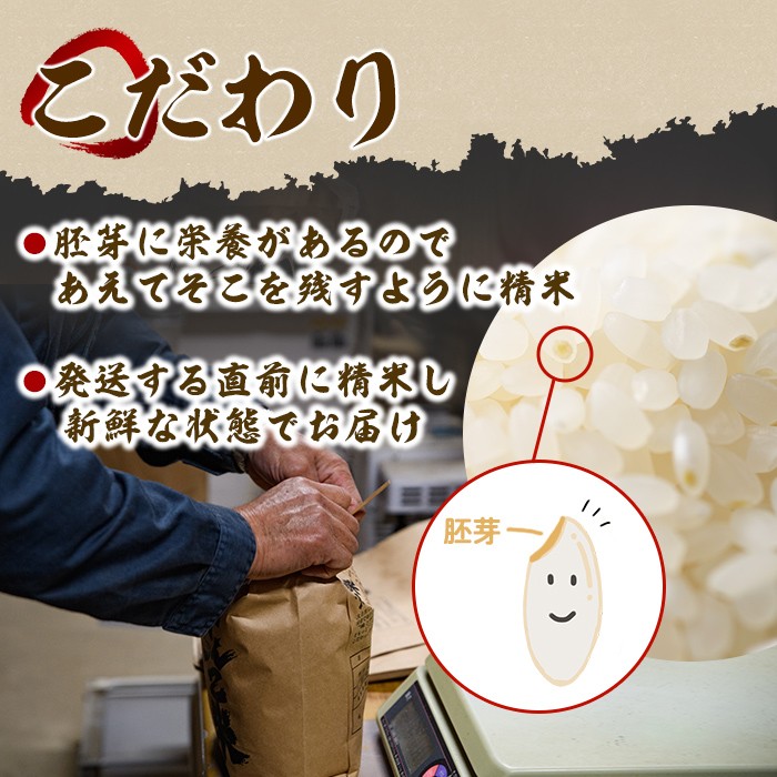 ＜令和8年産 先行予約！＞《定期便・全12回》田舎塾特別栽培米「がんこ米ゆめぴりか」(10kg×12回・計120kg) 【2026年10月中旬以降順次発送】 米 お米 白米 北海道産 北海道米 ゆめぴ