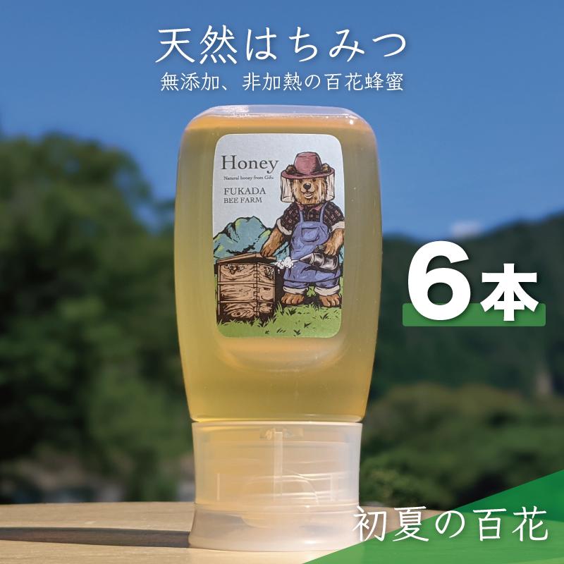 【ふるさと納税】合計1800g 天然蜂蜜 国産蜂蜜 非加熱 生はちみつ 岐阜県 美濃市産 初夏 (蜂蜜300g入りピタッとボトル6本セット) B17