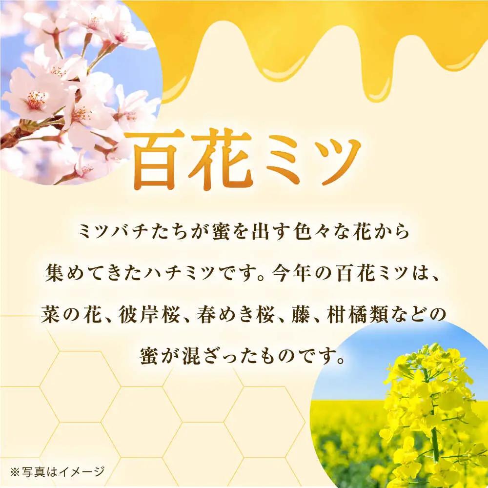 百花はちみつ 600g はちみつ [BDAO002]