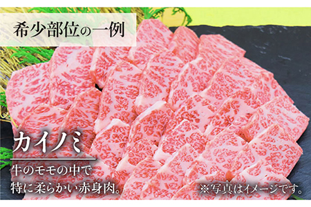 ＜6回定期便＞佐賀牛希少部位含む〜ひとり贅沢焼肉コース〜 ランプ/クリ/トウガラシ/ザブトン/カイノミなど【ミートフーズ華松】 ブランド 高級 和牛 霜降り BBQ やわらか 冷凍 料理  精肉 牛肉