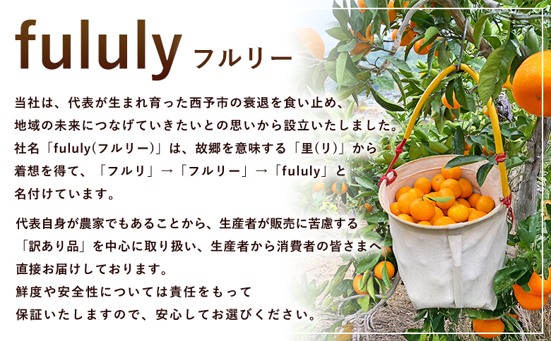 ＜fululy直送 温州みかん 訳あり 約4.5kg 小玉サイズ（3S〜S）＞ ワケアリ サイズ混合 小玉 果物 フルーツ 蜜柑 うんしゅうみかん ウンシュウミカン 柑橘 家庭用 合同会社fululy