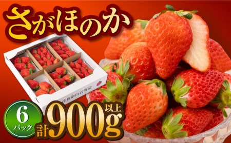 アフターフォロー付！ 白石産いちご さがほのか 約150g×6パック（計900g以上） /大容量いちご イチゴ いちご  少ない酸味 上品な甘さのいちご ケーキ 苺 佐賀県産いちご 【道の駅しろいしカンパニー】 [IAA024]