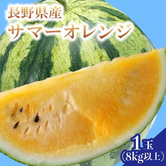 すいか サマーオレンジ 1玉（8kg以上）長野県山形村 3219