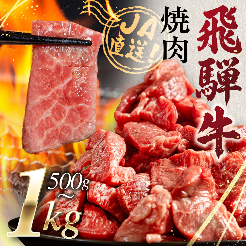 【ふるさと納税】飛騨牛 焼肉 切り落とし 肉 1kg 切落し 牛肉 肉 バーベキュー BBQ セット 和牛 焼肉 部位おまかせ ごちそう 贅沢 大容量 人気 おすすめ アウトドア 国産 冷凍 [S201] 発送月が選べる 訳あり 訳アリ JA飛騨 ひだ 白川村 14000円 25000円