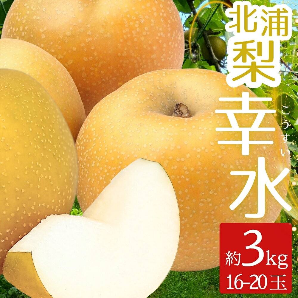 【ふるさと納税】 梨 幸水 北浦梨 3kg （16～20玉）｜なし ナシ 北浦 美里 こうすい 自家用 贈答