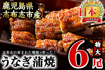 うなぎの大楠＜特大＞6尾セット計1kg超(170g×6) うなぎ 鰻 ウナギ 6尾 国産 九州産 蒲焼き かばやき 冷凍 うな重 ひつまぶし タレ 山椒 真空パック ランキング 人気 d5-001