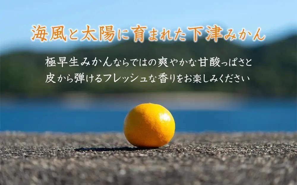 極早生みかん（日南早生みかんなど）混合サイズ 訳あり 7.5kg 「2026年10月より順次発送」［Mg37］