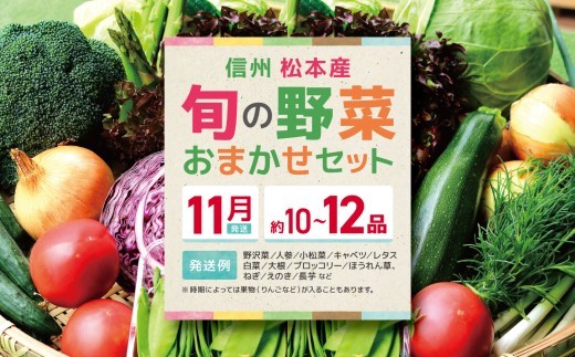 
                  【先行受付】【11月発送】信州松本産・旬の野菜 おまかせセット（約10～12品） │野菜 やさい 旬 旬の野菜 新鮮 自然 セット 野菜セット 美味しい 長野県 信州 松本 ふるさと納税
                