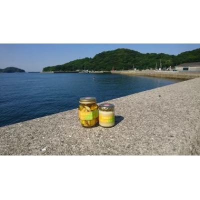 ふるさと納税 笠岡市 真鍋島赤にんにくオリーブオイル漬とオリーブオイルペーストのセット　A-190