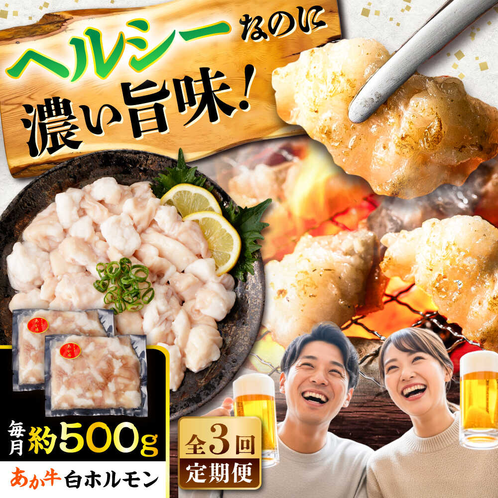 【ふるさと納税】【全3回定期便】あか牛 白 ホルモン 約500g (約250g×2P) / 牛肉 褐毛和種 ホルモン 肉 九州産 国産牛 熊本県産 小分け あかうし 鍋 焼肉【五右衛門フーズ】[BHCY010]