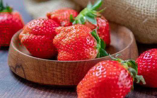 【先行予約】苺大野屋 やよいひめ 厳選いちご 250g×４パック 1kg 宮崎県西都市＜2-104＞苺 果物 くだもの フルーツ 1ｋｇ(250ｇ×4パック)【寄附額20,000円】