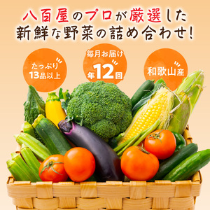 定期便 旬の新鮮野菜セットA【毎月お届け12回】たっぷり13品以上【8004-2】