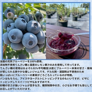 長野県産 ブルーベリージャム125gとはちみつ100gセット（各1本/化粧箱入） 信州 佐久市 無添加 国産 アカシア 蜂蜜 ハニー パン ヨーグルト はちみつ