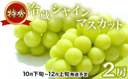 
            J1126 長野市産 冷蔵シャインマスカット 【特秀】 2房【2025年10月下旬以降出荷分】（タマファーム）
          