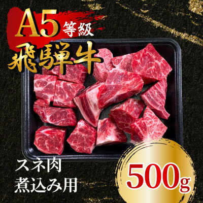 【ふるさと納税】飛騨牛5等級 スネ肉煮込み用500g　FTA281【配送不可地域：離島】【1578292】