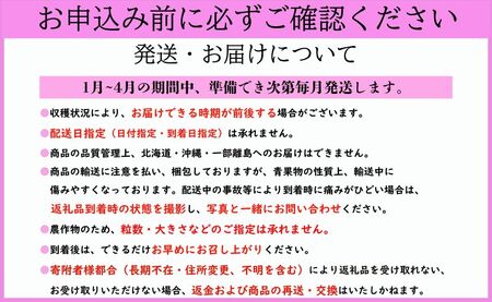 旬のいちご定期便 とちおとめ やよいひめ 4か月 毎月 約1000g 【先行予約】