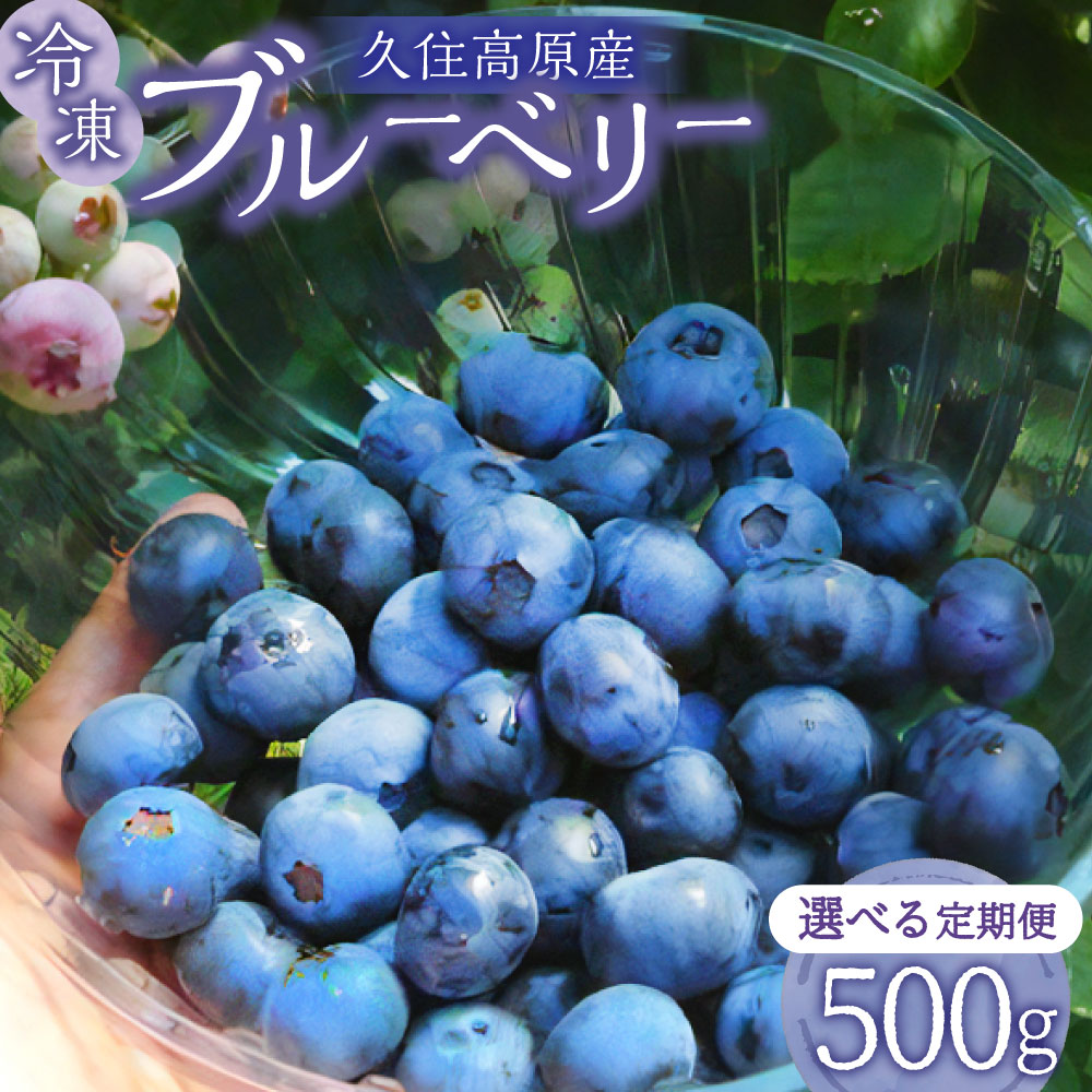 【ふるさと納税】 【選べる定期便】久住高原 冷凍 ブルーベリー 約500g 栽培期間中 農薬不使用 手摘み 新鮮 ジャム スムージー ヨーグルト フルーツ 果物 お試し 特産品 特産 名産 国産 九州 大分県 竹田市 久住高原産 送料無料【2025年7月下旬より順次発送開始予定】