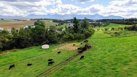 ビーフカレー びえい牛 230g×4セット ファームズ千代田|ビーフカレー 北海道 ビーフカレー 美瑛町 ビーフカレー お取り寄せ ビーフカレー[016-67]