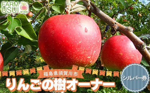 りんごの樹のオーナー シルバー（サンふじ200個） 体験 農作業 収穫 りんご リンゴ 林檎 デザート フルーツ 果物 くだもの F7X-0481