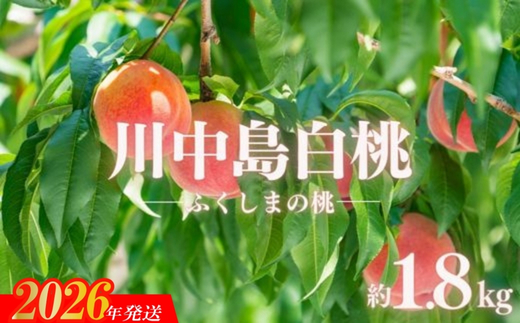 No.2886もも「川中島白桃」約1.8kg【2025年発送】