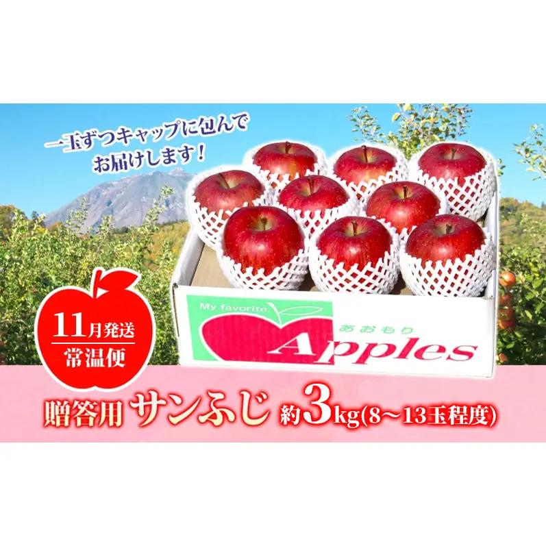 【11月発送】 贈答用 サンふじ 約3kg りんご 林檎 リンゴ 果物 フルーツ くだもの 旬 青森県産 お取り寄せ 贈り物 プレゼント 人気 東北 名産 常温 産地直送 送料無料 青森県 西目屋村