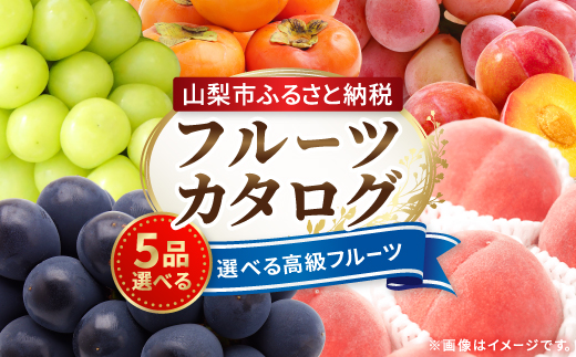 後からゆっくり選べる!フルーツカタログ5品選べる『プレミアムギフトカタログ』桃 シャインマスカット【1114878】