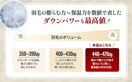 【合掛け布団】羽毛合掛け布団　ハイパーダウン（クイーン：220㎝×210㎝）ポーランド産ホワイトマザーグースダウン95％
