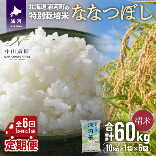 浦河の特別栽培米「ななつぼし」精米(10kg×1袋)定期便(全6回)[37-1172]