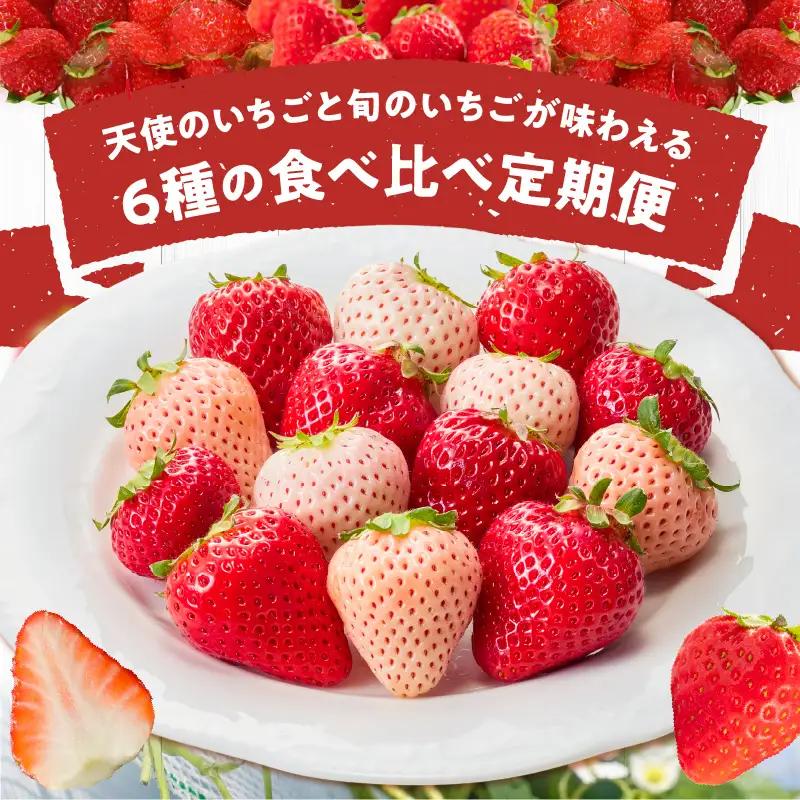 【定期便 3回】特別栽培 6種のいちごの食べ比べ 約540g×3回 _ 定期便 3回 特別栽培 6種 いちご 食べ比べ セット ふくおかエコ農産物 旬のいちご 新鮮 久留米市産 白いちご 淡雪 天使の