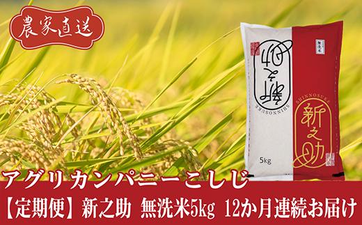 
                  J8-7MS05ZA【12ヶ月連続お届け】新潟県長岡産 新之助 無洗米5kg
                