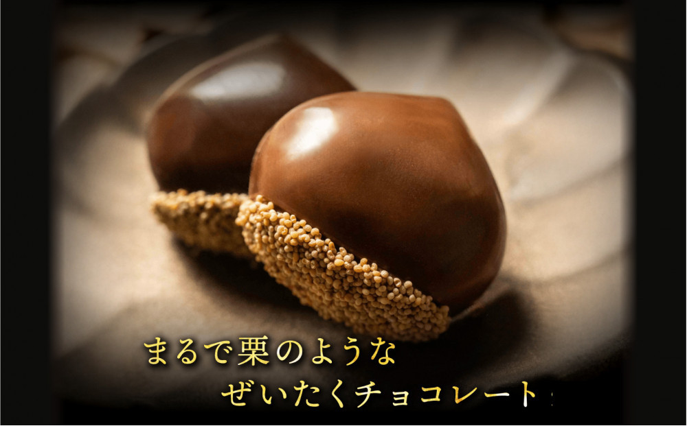 栗りん 【11月上旬から順次発送】まるで栗のような贅沢チョコレート「 ぜいたく一粒 栗きんとんちょこら 」栗きんとん × チョコレート プレゼント スイーツ ギフト 栗きんとん チョコ 送料無料 お取