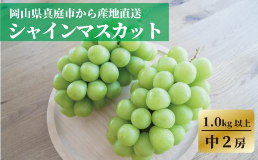 KF-B078-02【きよとうファーム】食べ切サイズ シャインマスカット 中２房/計1.0kg~ (岡山県産)