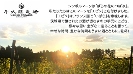 恵野果 牛久ブラン 2022 750ml×1本 茨城県産 茨城県産 牛久醸造場 日本ワイン ワイン 白ワイン 750ml ミディアムボディ お酒 贈り物 葡萄 ぶどう