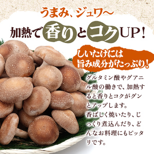 北海道産 厚岸町 上尾幌 菌床栽培 キングしいたけ 1パック プリンスしいたけ 2パック 