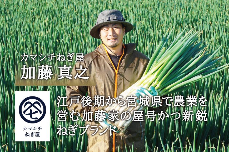 カマシチねぎ屋 旬の甘ねぎ 5kg（約27本～42本）【12月下旬より順次発送】