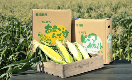 北海道産 とうもろこし 令和８年発送 ピュアホワイト5本＆あまいんです5本 南幌町 NP1-174