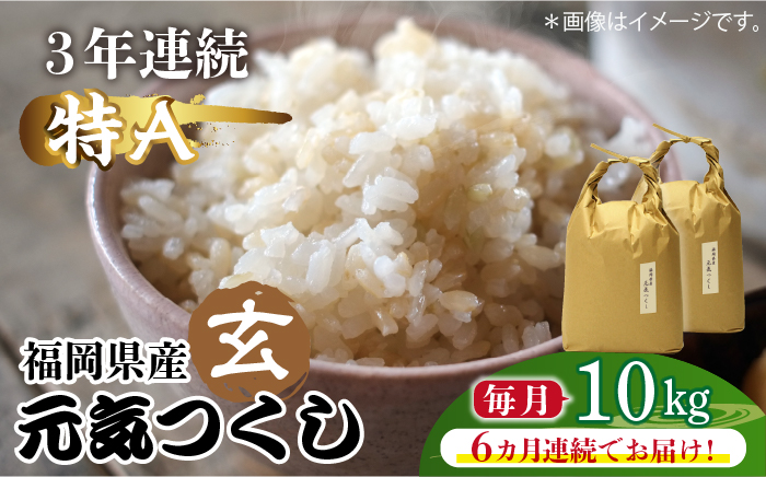 【先行予約】【全6回定期便】福岡県産【特A】評価のお米「元気つくし」5kg×2袋 [10kg] [玄米]【2024年11月下旬以降順次発送】《築上町》【株式会社ベネフィス】[ABDF119]