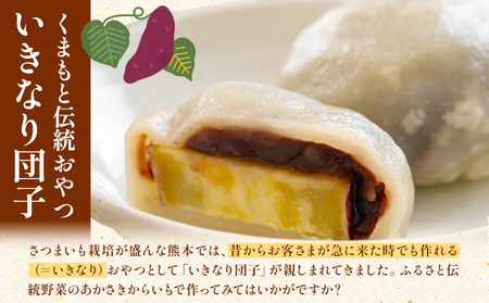 あかさきからいも 約5kgから6kg 品種おまかせ わらく農園《2025年11月中旬-11月下旬頃出荷》熊本県 葦北郡 津奈木町 さつまいも サツマイモ からいも くまもとふるさと伝統野菜
