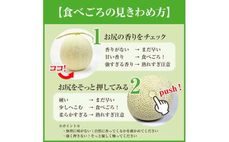 メロン めろん 糖度21度以上！奇跡の クインシーメロン 1玉 赤肉 人気 おすすめ クインシー 甘い 濃厚 高糖度 自家栽培 メロン 贈答用 贈り物 プレゼント 送料無料 片岡農園 クレストファーム