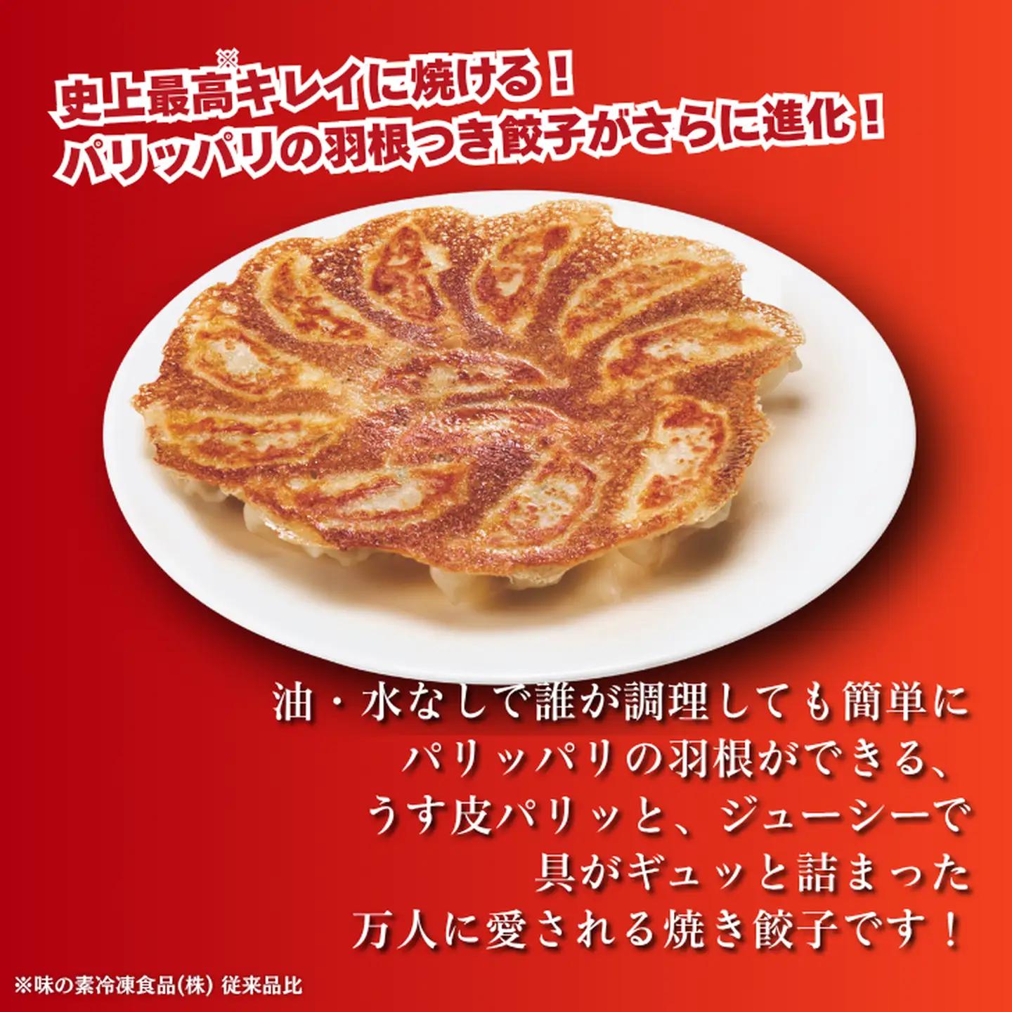 AJINOMOTO冷凍ギョーザ 計120個 ギョーザ 10袋