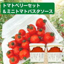 【ふるさと納税】「栗林農園」素のままパスタソースとトマトベリーセット　【 野菜 素材の味 無水調理 凝縮 無着色 無香料 化学調味料 不使用 合成保存料 ミニトマト 】　お届け：2023年11月上旬～2024年7月中旬