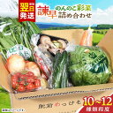 【ふるさと納税】諫早のんのこ彩菜・詰め合わせ 10〜12品 / 季節 旬 野菜 やさい 春野菜 夏野菜 秋野菜 野菜セット 詰め合わせ / 諫早市 / 肥前グローカル株式会社 [AHDI005]