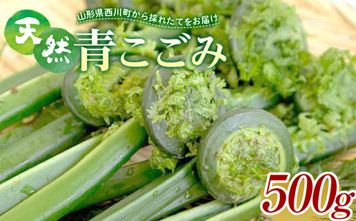 天然青こごみ 500g