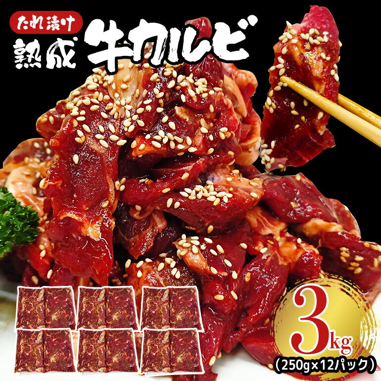 【ふるさと納税】熟成牛カルビ 3kg (250g×12パック) たれ 味付 小分け 冷凍 焼肉 焼き肉 牛 牛肉 ビーフ カルビ BBQ 【そうざい男しゃく（株式会社池延）】【ho1473】