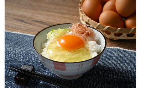 【4か月定期便】君嶋養鶏園のたまご Lサイズ 30個（27個＋割れ補償3個）×4ヶ月 計120個 | 定期便 4ヶ月 4か月 4ヵ月 卵 玉子 たまご 赤卵 赤たまご 生卵 国産 濃厚 鶏卵 コク 旨