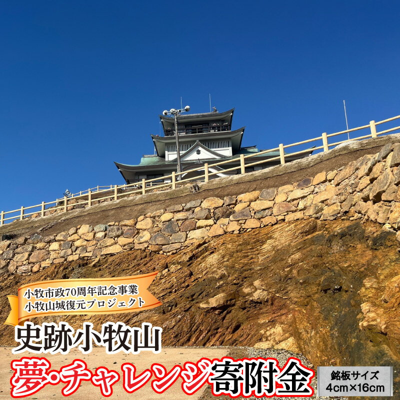 【ふるさと納税】【返礼品なし】信長が築いた小牧山城の石垣があなたの応援で現代によみがえる　夢・チャレンジ寄附金　銘板サイズ4cm×16cm
