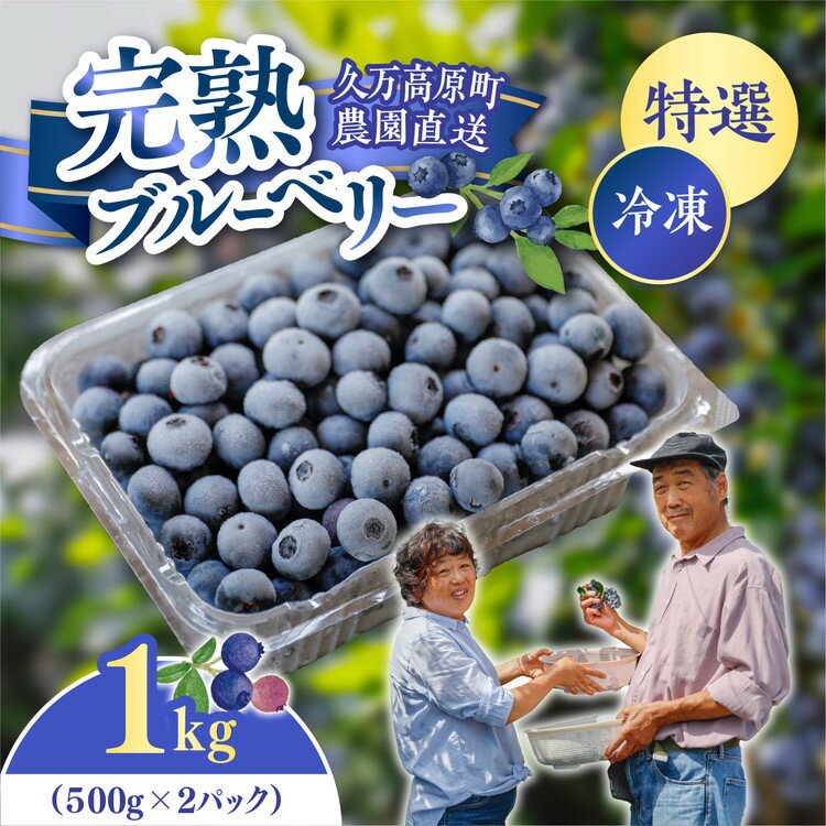 【ふるさと納税】農園直送 完熟 手摘み 特選 冷凍 ブルーベリー 1kg ｜ 愛媛県 久万高原町 青木農園 高原栽培 国産 フルーツ ベリー ジャム おやつ 製菓用 スムージー ヨーグルト 朝食 ビタミンC 食物繊維 長期保存 ※2025年10月上旬頃より順次発送予定