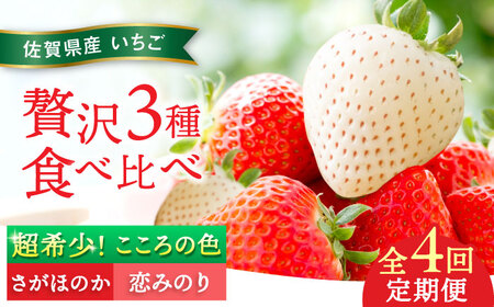 【先行予約】【全4回定期便】さがほのか・恋みのり・こころの色 220g×2パック×4回 / 佐賀県 / 鐘ヶ江農園[41ASBK006]